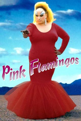 Pink Flamingos poster