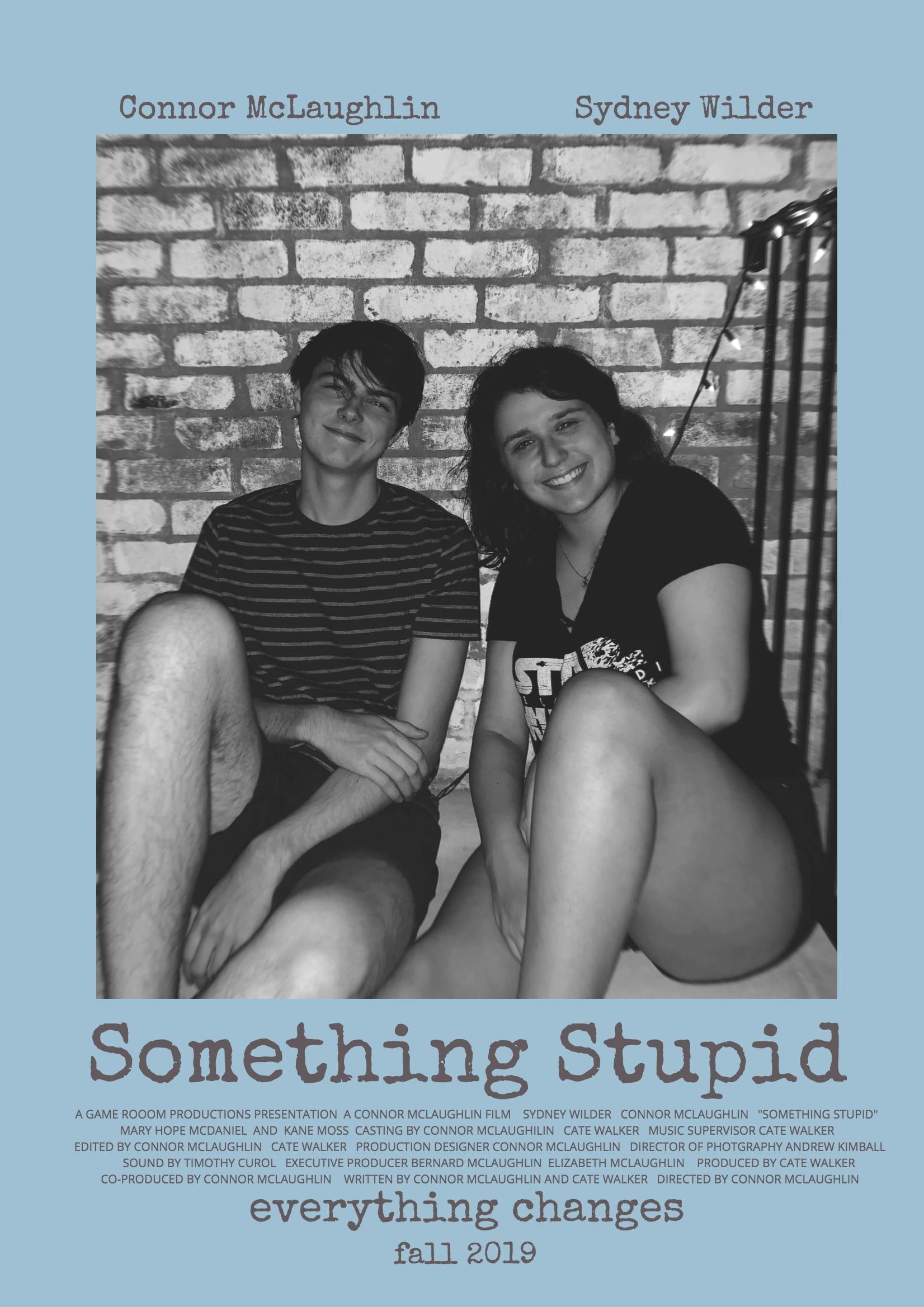 Something Stupid poster