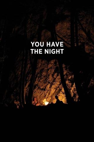 You Have the Night poster