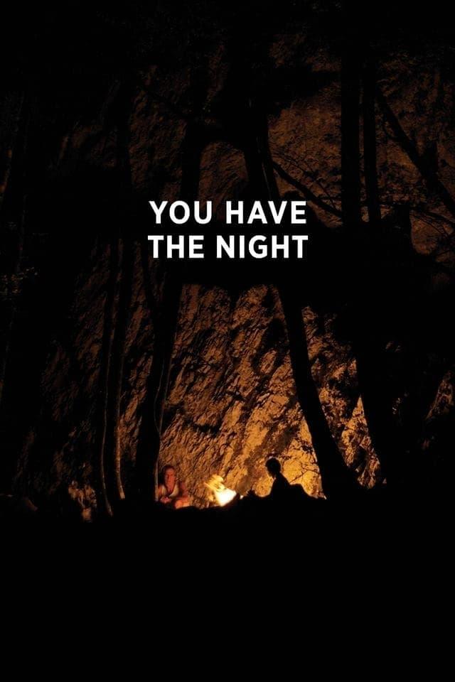 You Have the Night poster