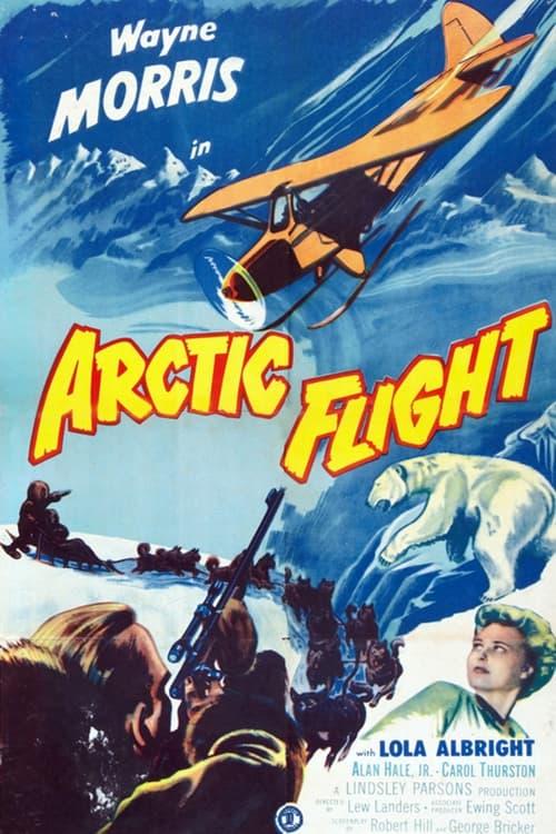 Arctic Flight poster