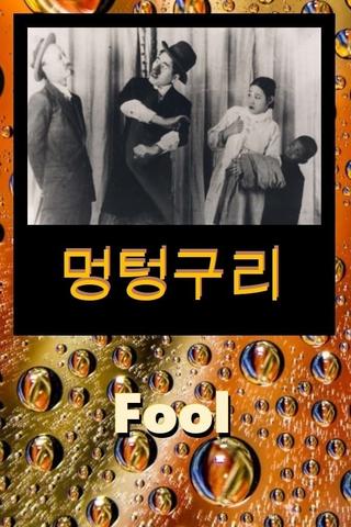 Fool poster