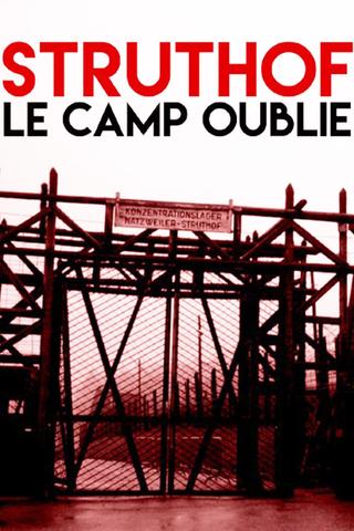 Memories of a Nazi Camp poster