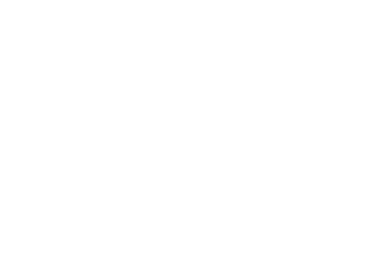 The Teacher logo
