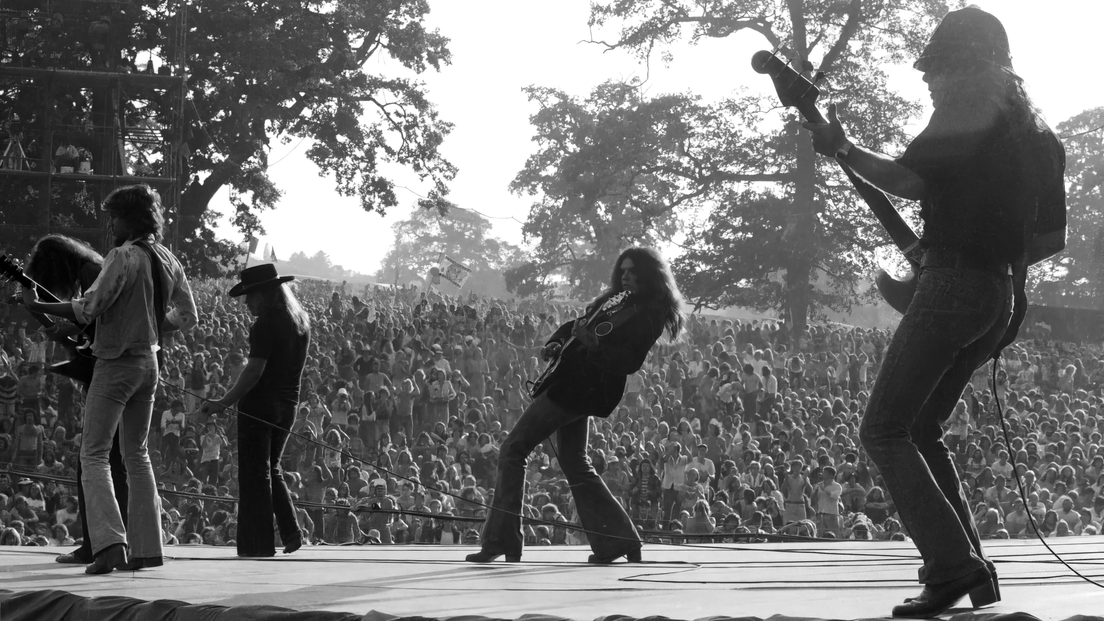 Lynyrd Skynyrd: Live at Knebworth '76 backdrop