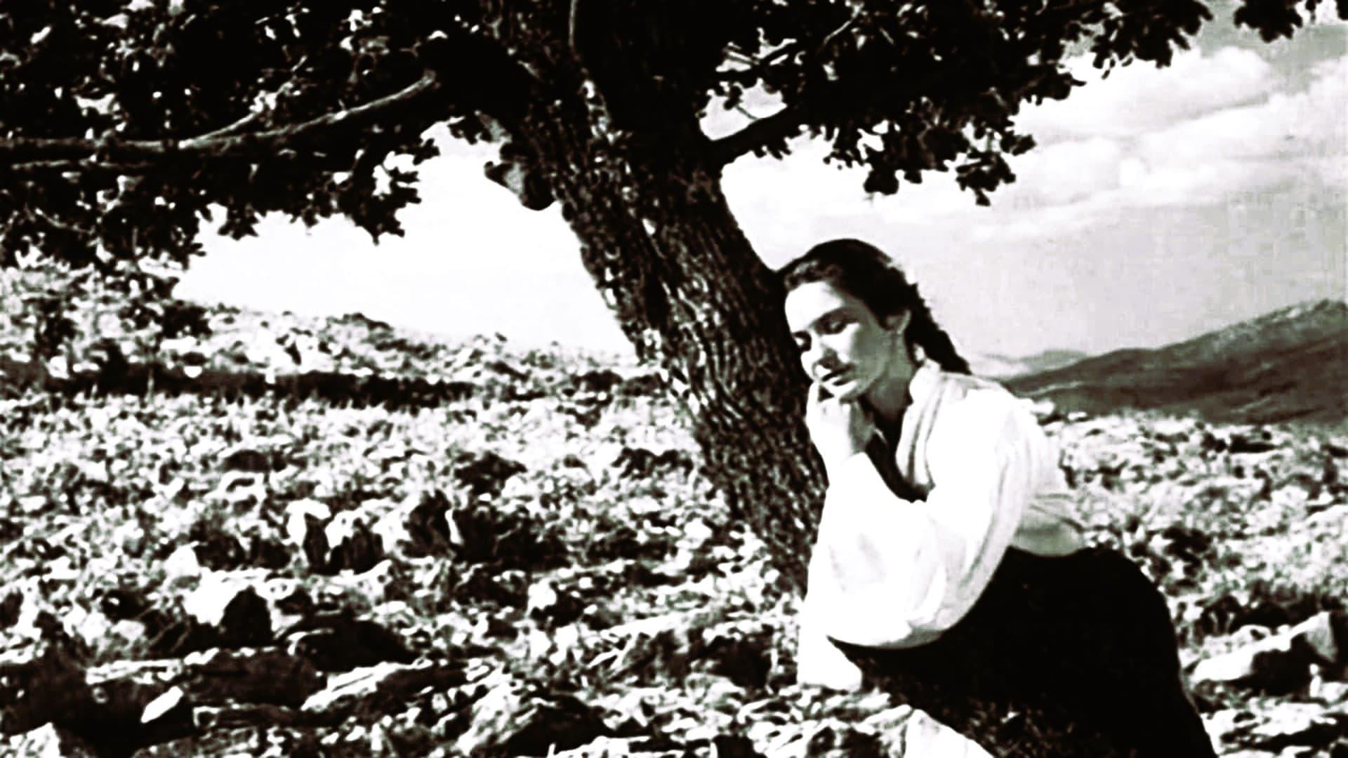 The Girl and the Oak backdrop