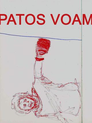 Patos Voam poster