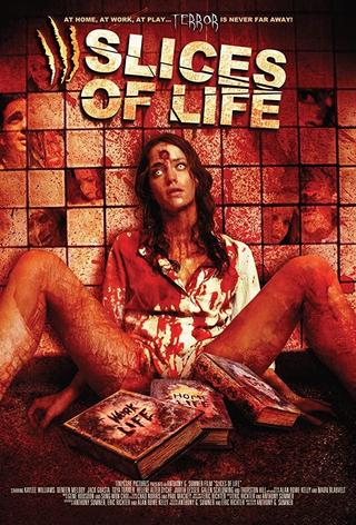Slices of Life poster