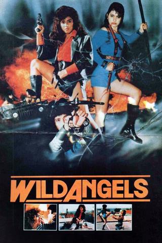 Wild Angels poster