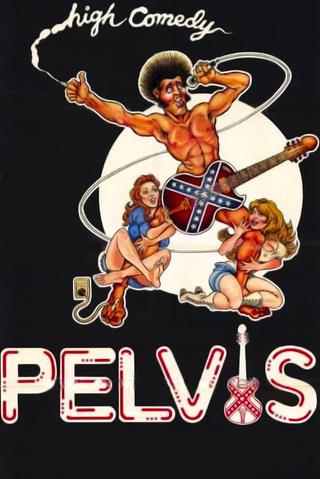 Pelvis poster