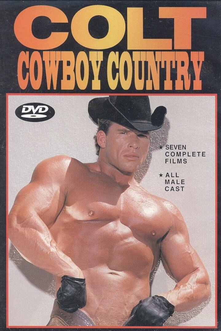 Cowboy Country poster