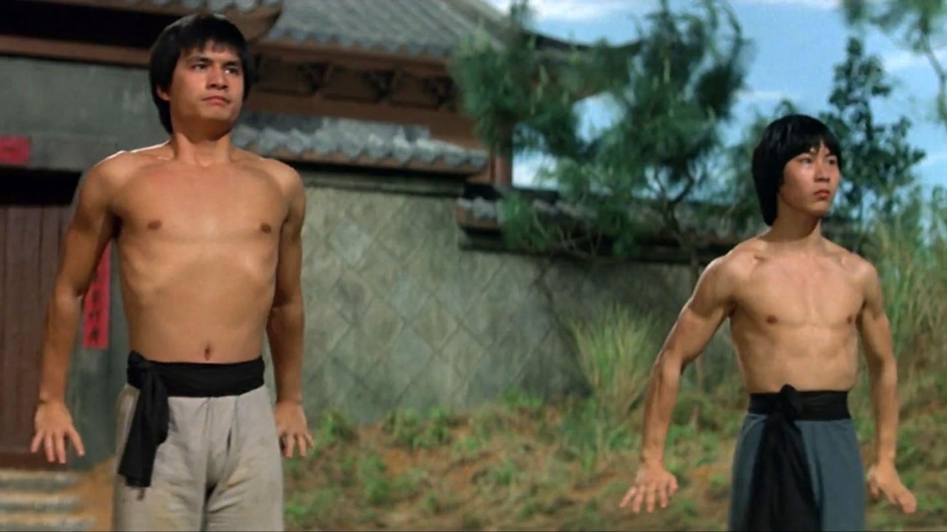 The New Shaolin Boxers backdrop