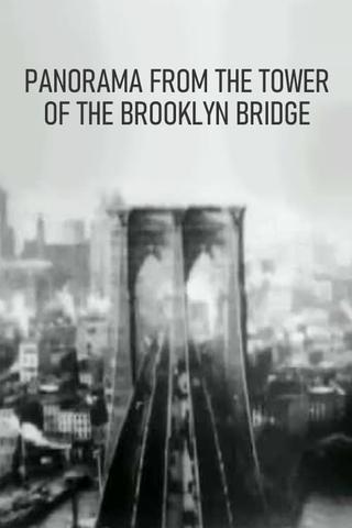Panorama from the Tower of the Brooklyn Bridge poster