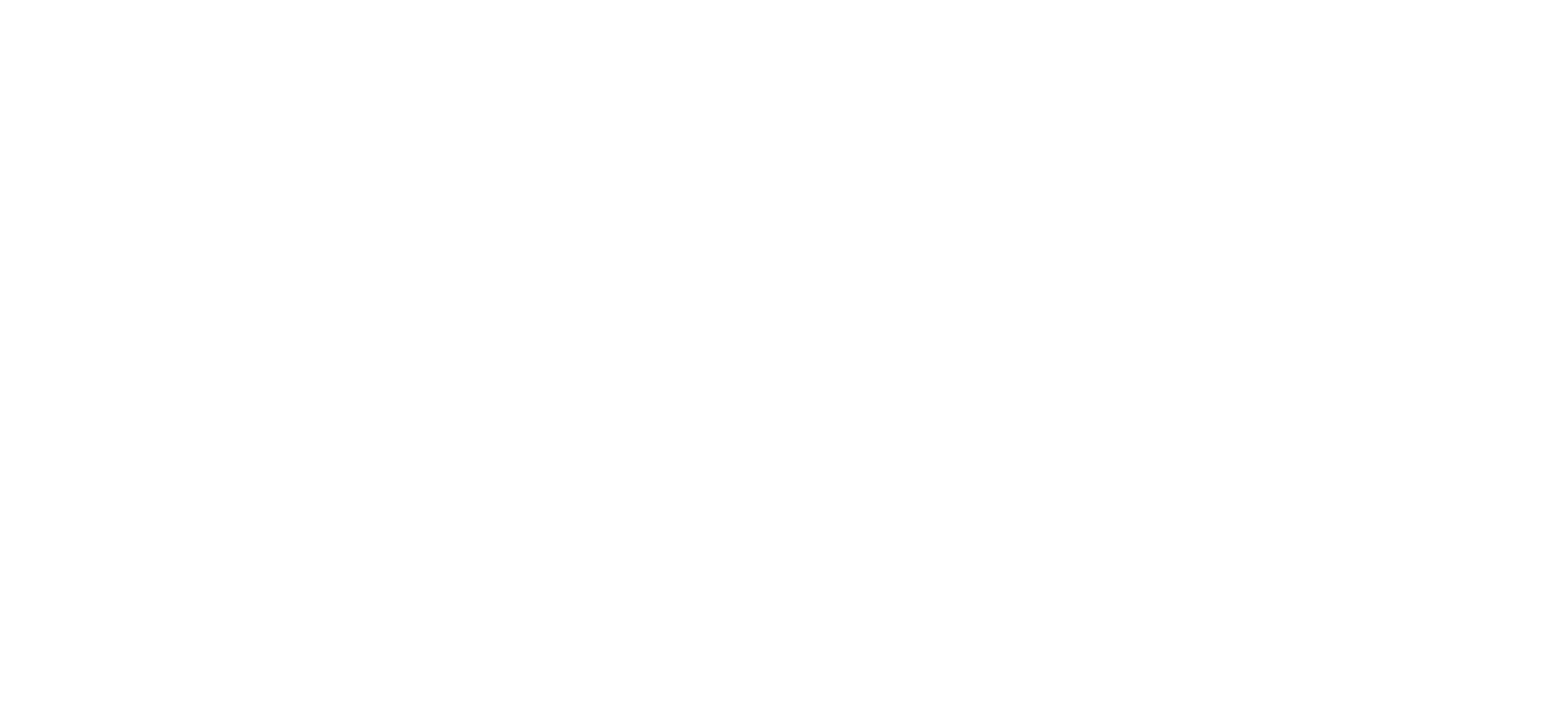 Survive the Raft logo