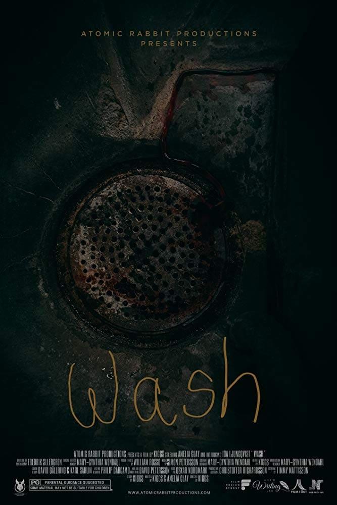 Wash poster