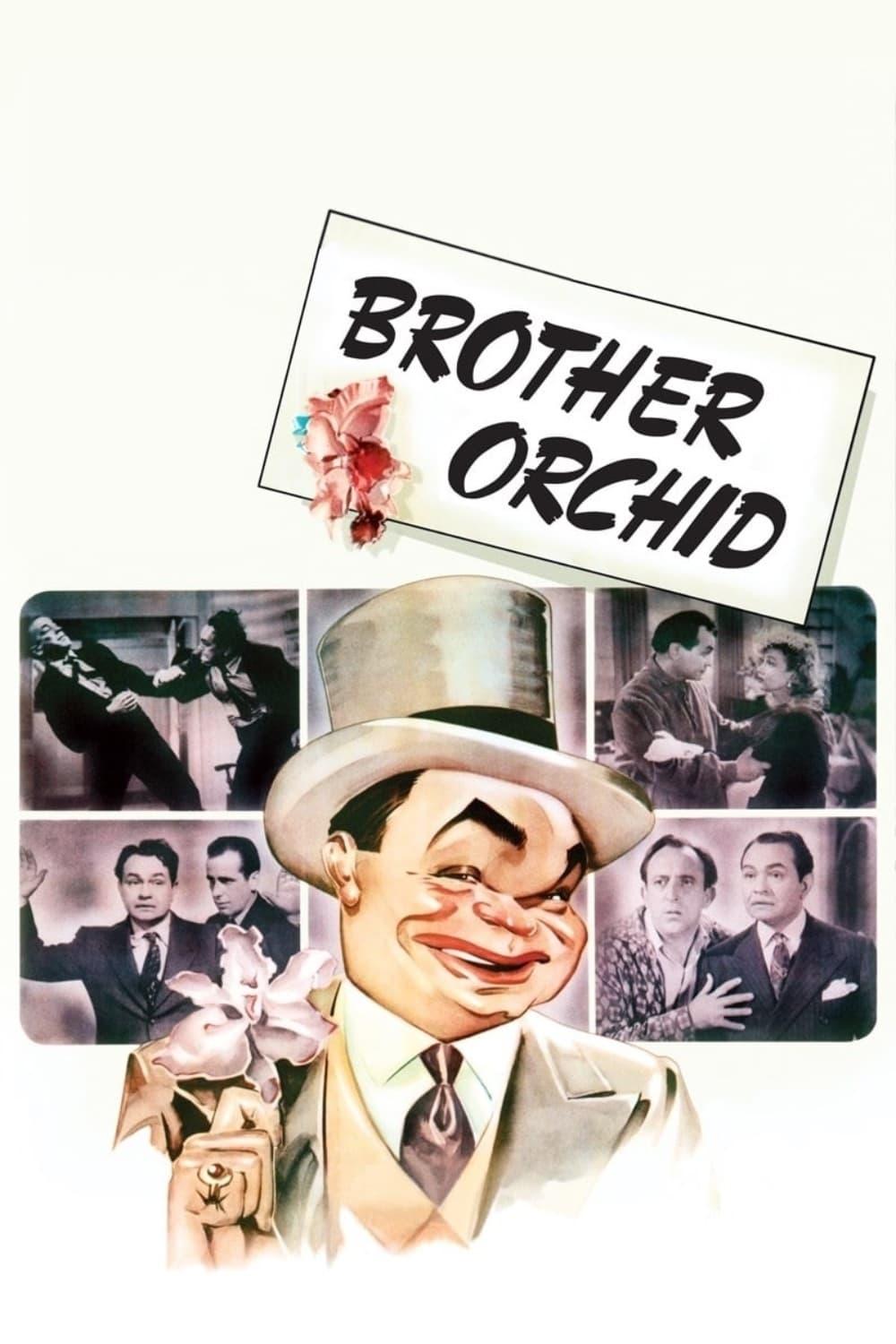 Brother Orchid poster