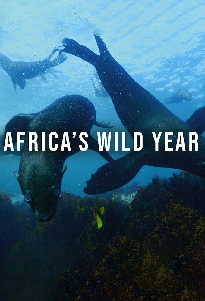 Africa's Wild Year poster