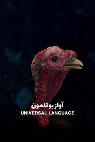 Universal Language poster