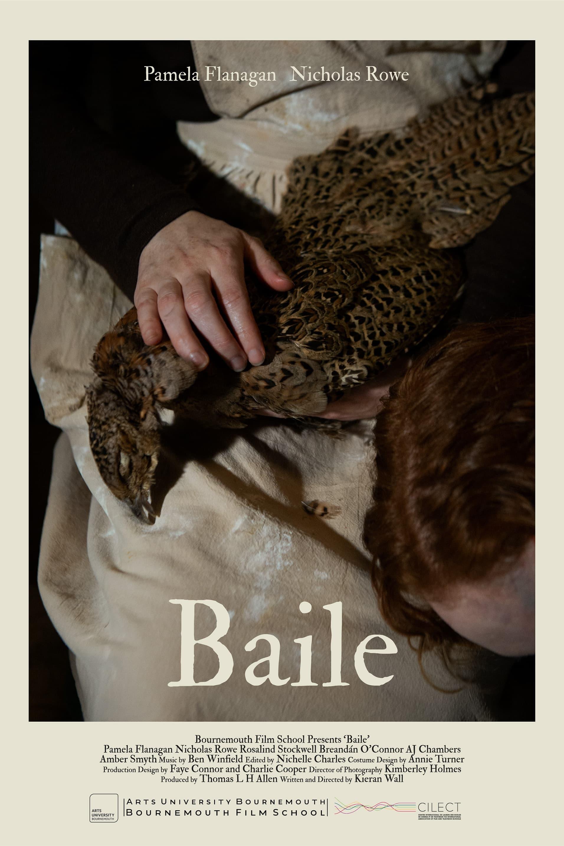 Baile poster