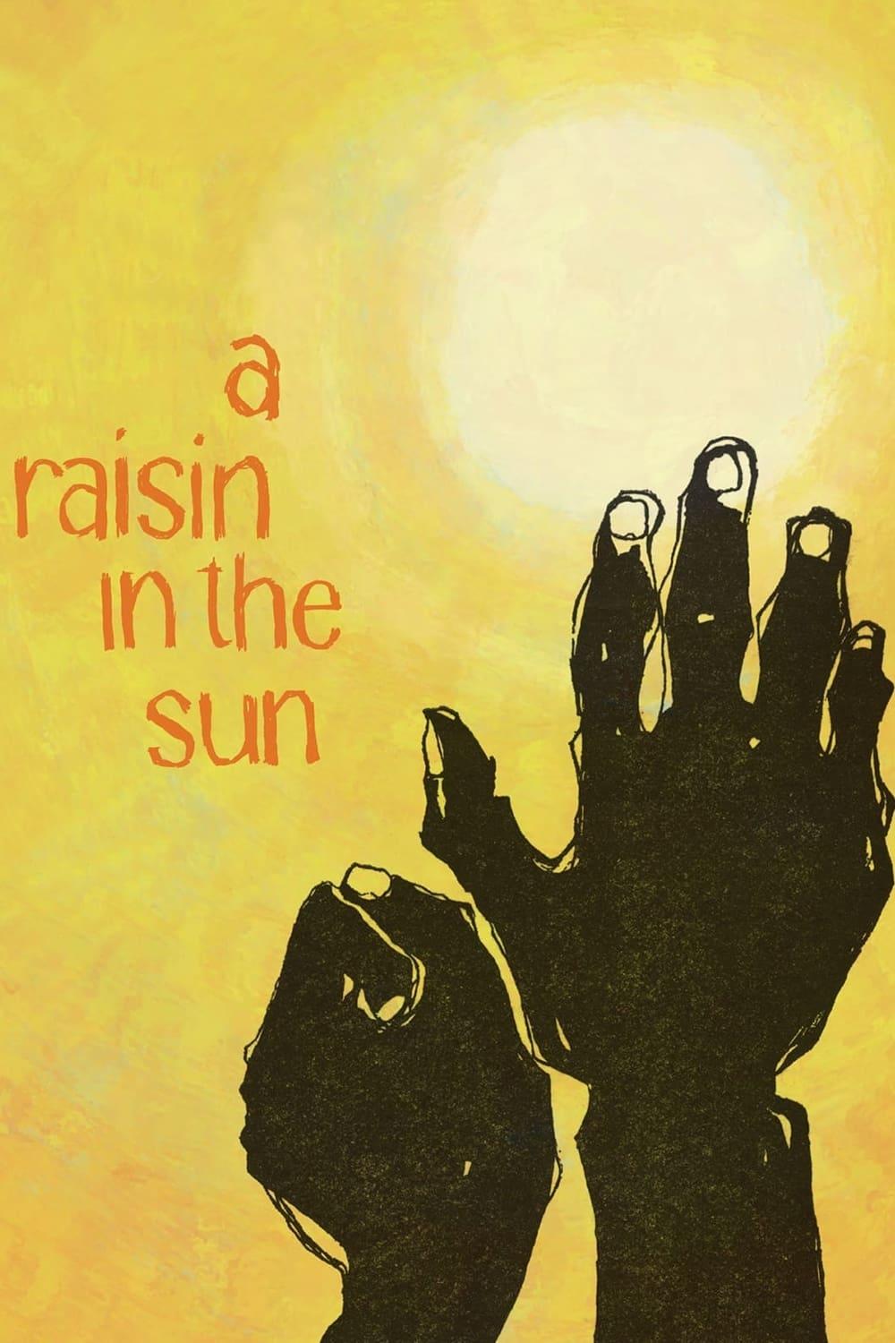 A Raisin in the Sun poster