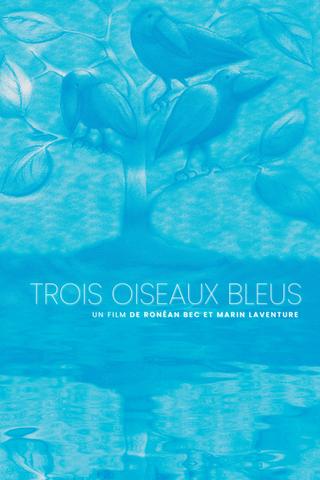 Trois oiseaux bleus poster