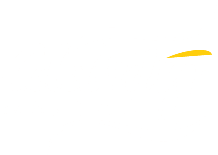 Celebrity Marriage logo