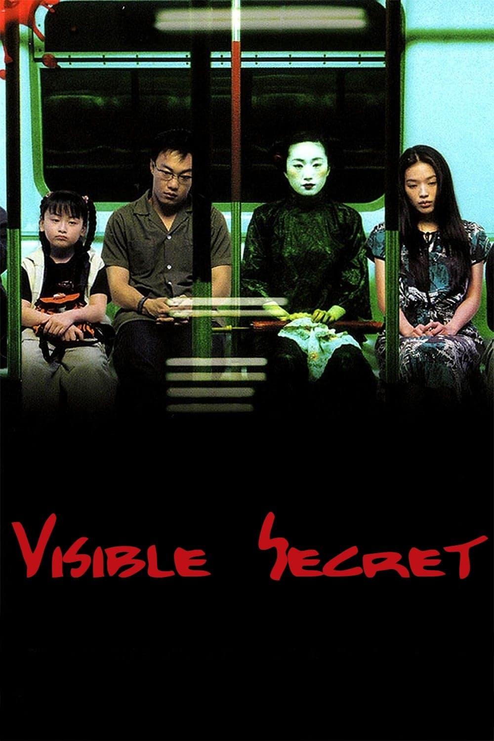 Visible Secret poster
