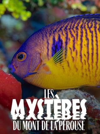 The mysteries of Mont La Pérouse poster