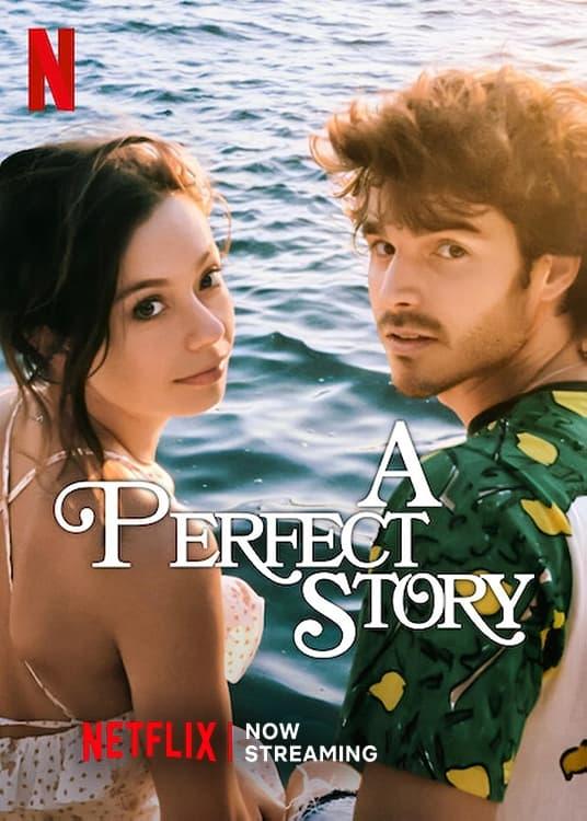 A Perfect Story poster
