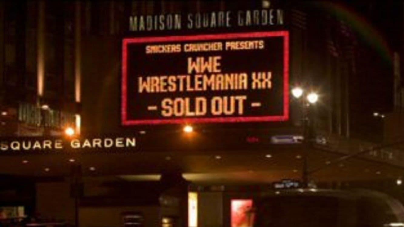 WWE: Best of WWE at Madison Square Garden backdrop