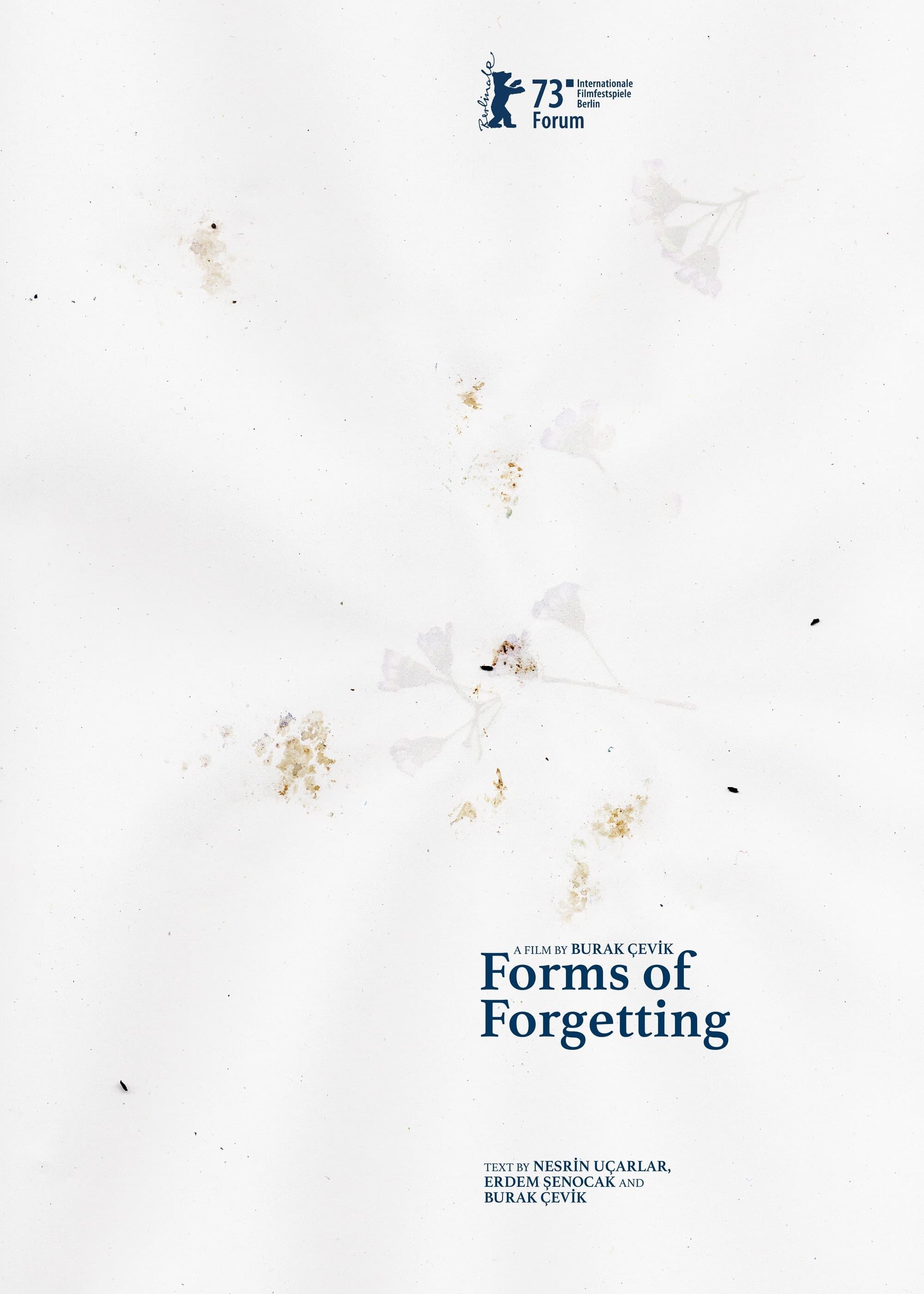 Forms of Forgetting poster