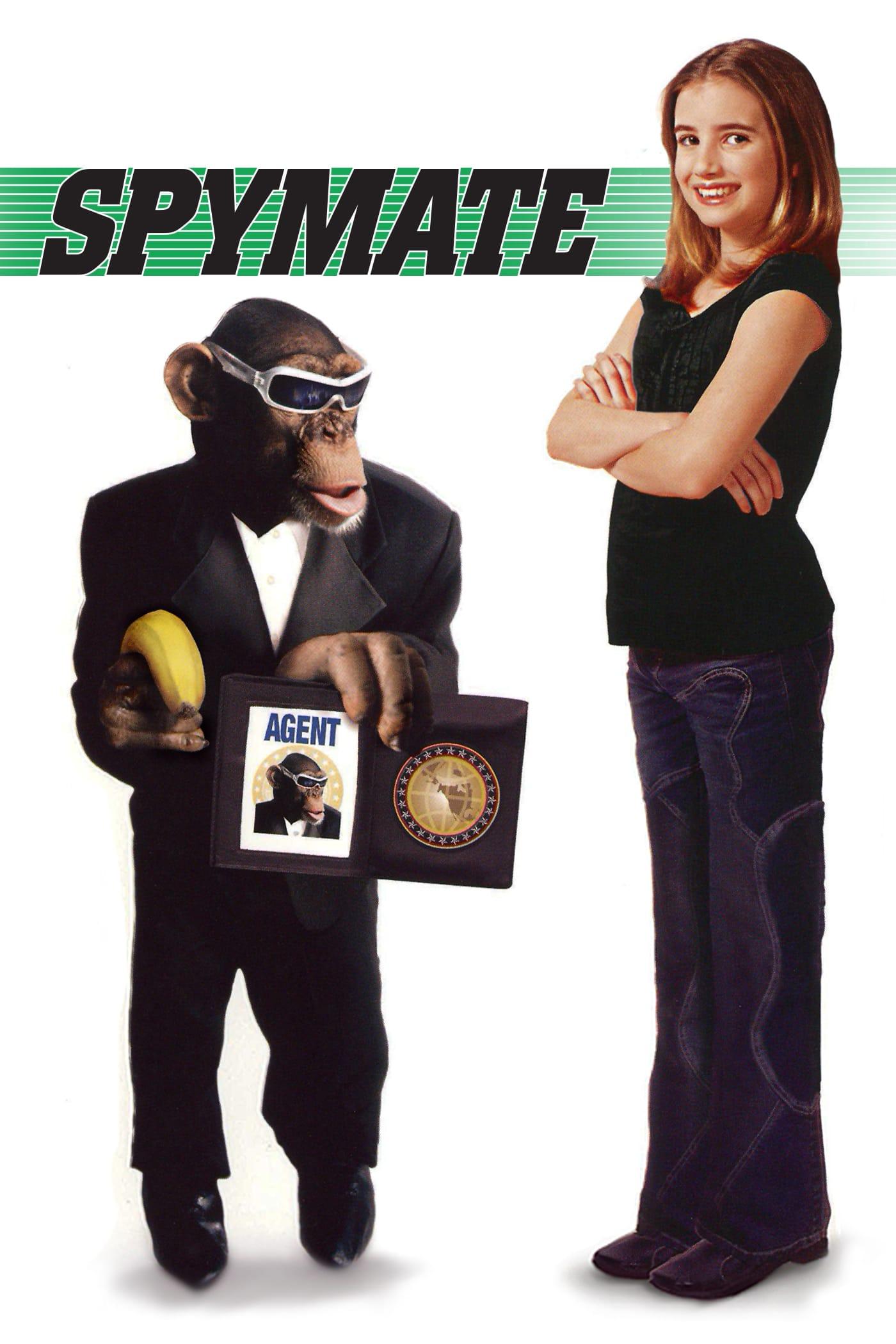 Spymate poster