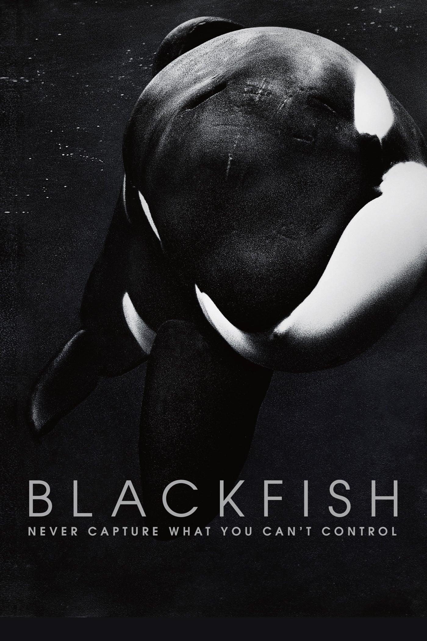Blackfish poster