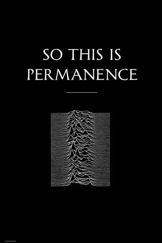 Peter Hook & The Light: So This Is Permanent poster