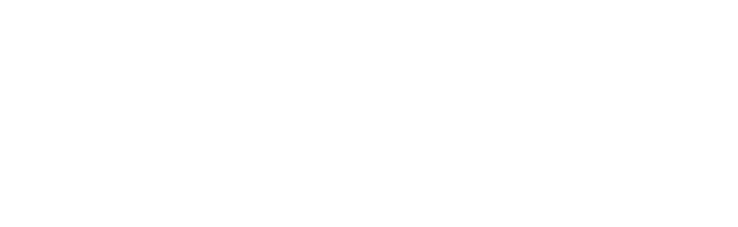 The Valet logo