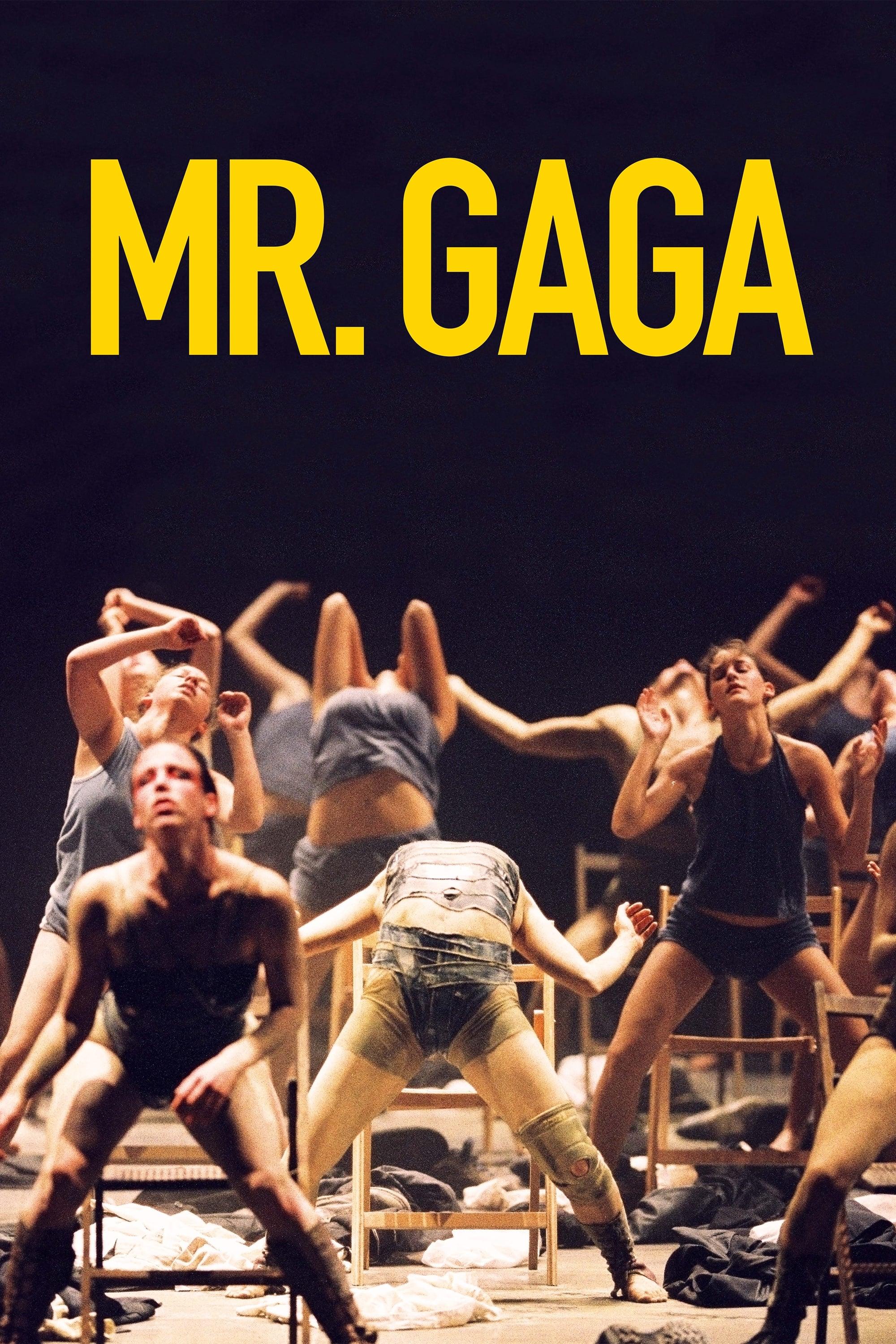 Mr. Gaga poster