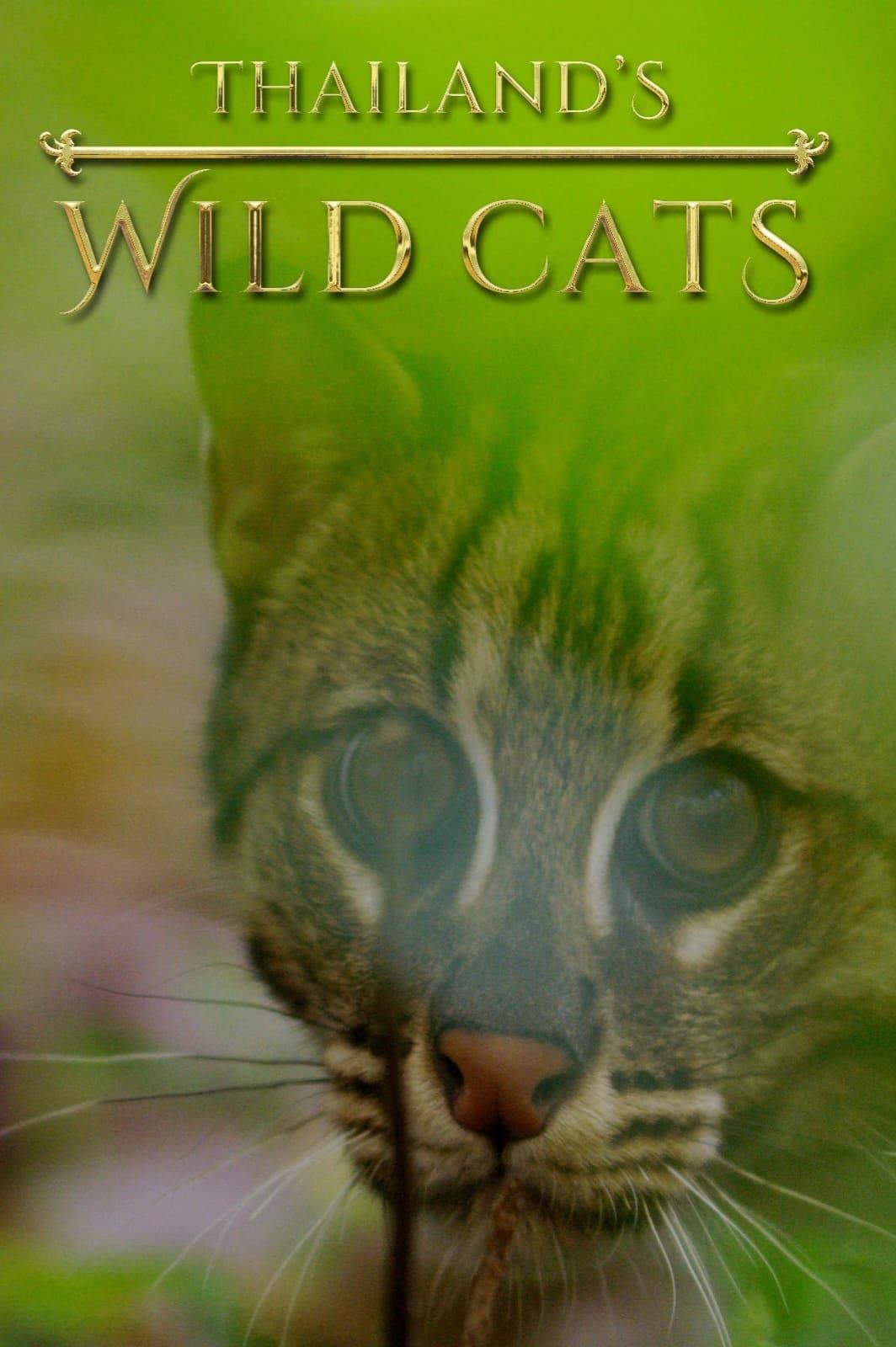 Thailand's Wild Cats poster