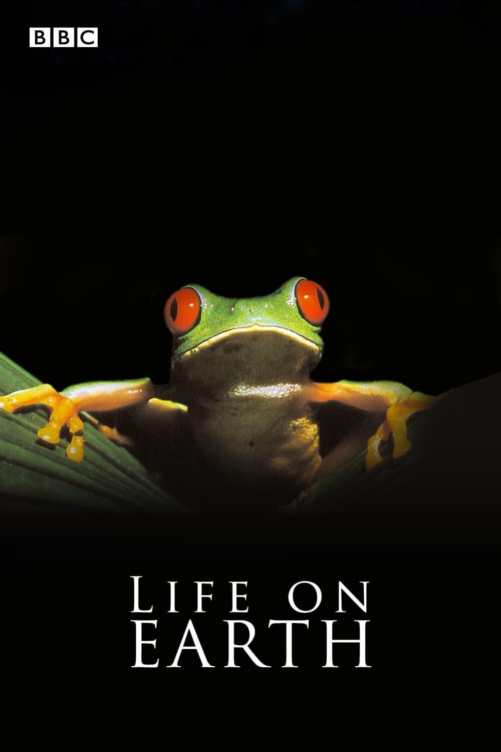 Life on Earth poster