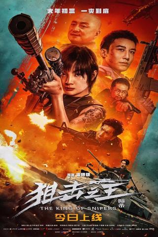 狙击之王：暗杀 poster