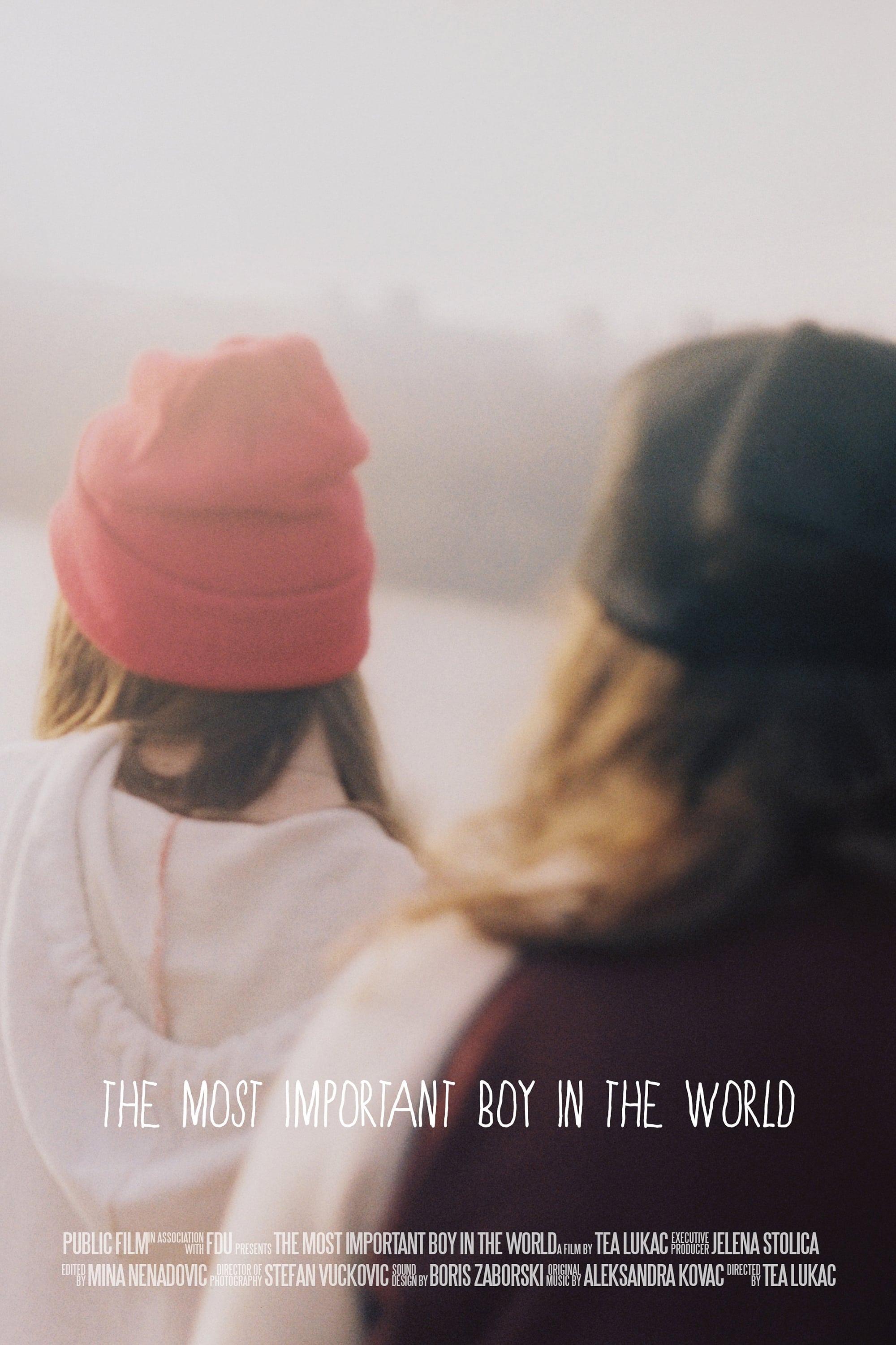 The Most Important Boy in the World poster