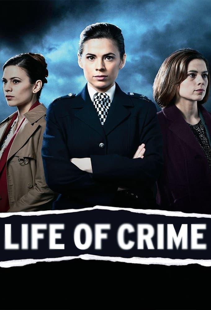 Life of Crime poster