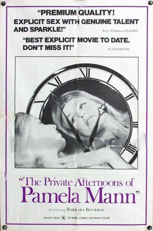 The Private Afternoons of Pamela Mann poster