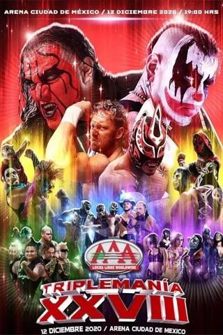 AAA Triplemania XXVIII poster