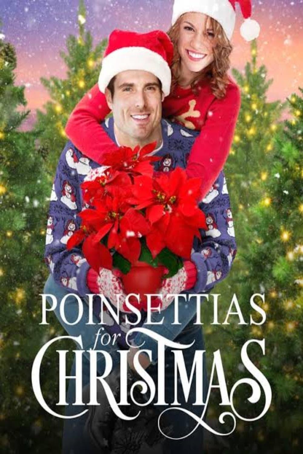 Poinsettias for Christmas poster