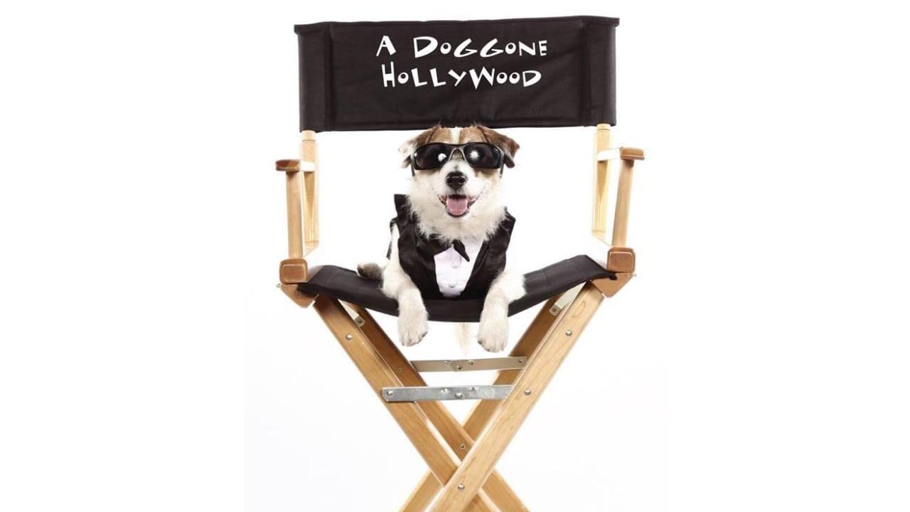 A Doggone Hollywood backdrop
