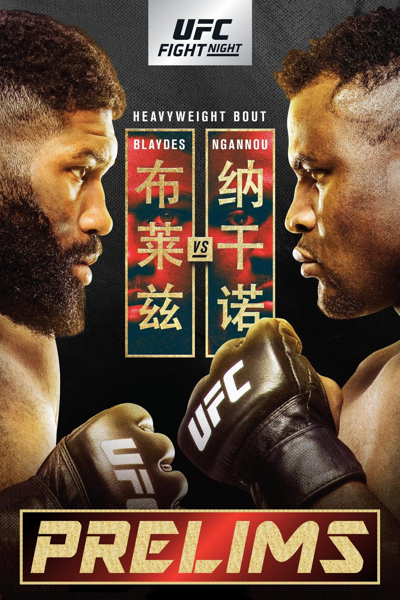 UFC Fight Night 141: Blaydes vs. Ngannou 2 poster
