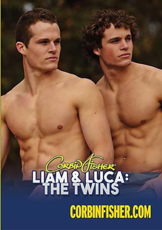 Liam and Luca: The Twins poster