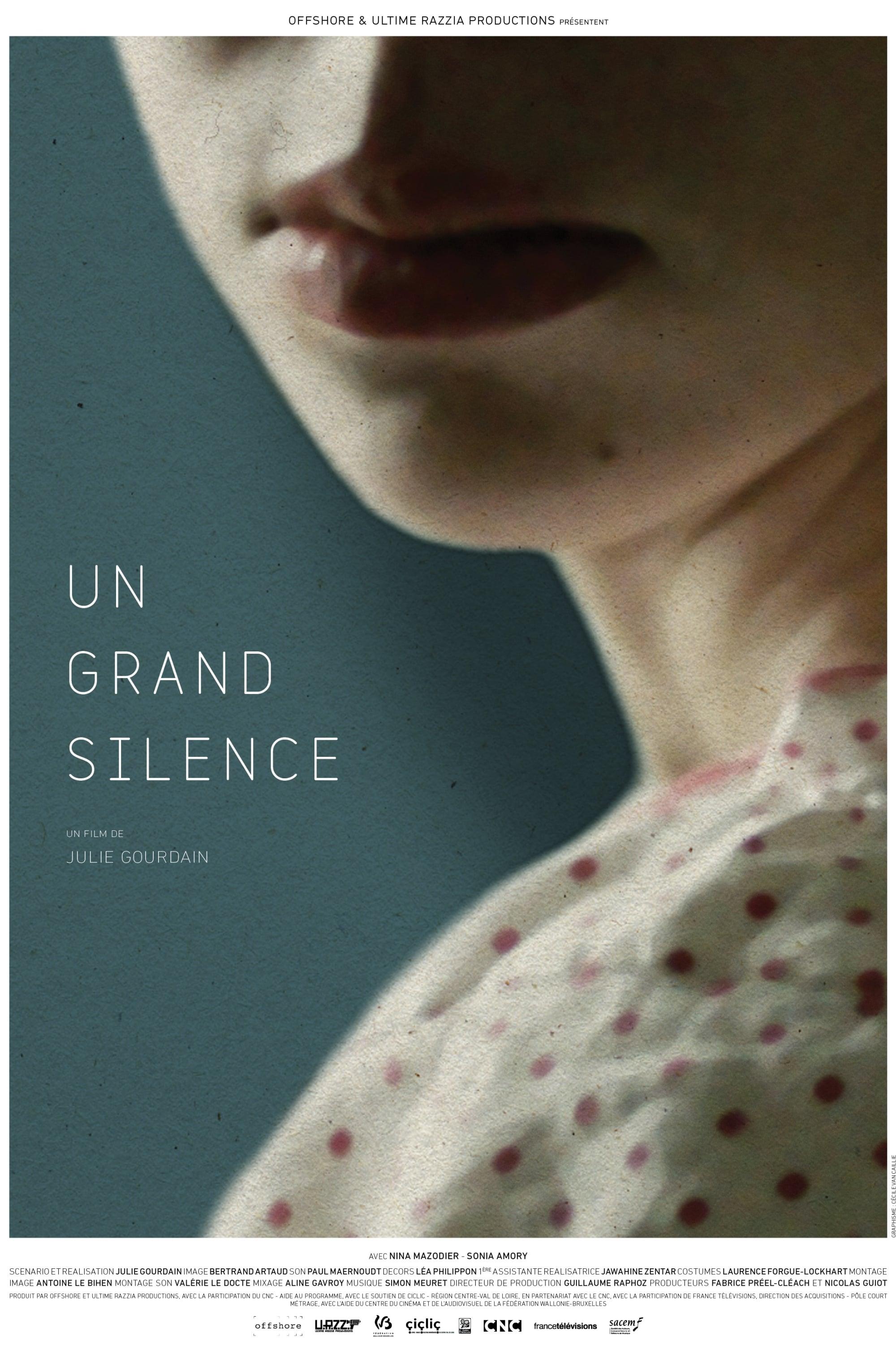 Veil of Silence poster