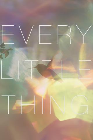 Every Little Thing poster