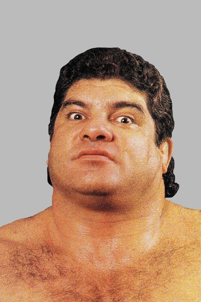 Don Muraco poster